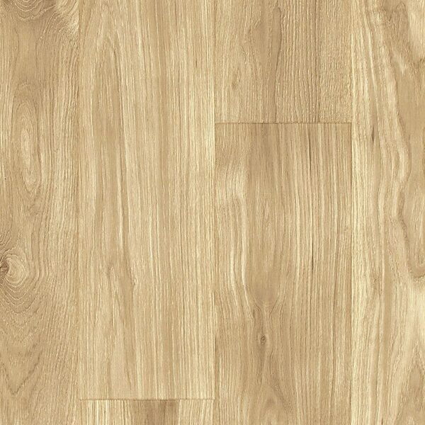 A close up of the wood grain on the floor