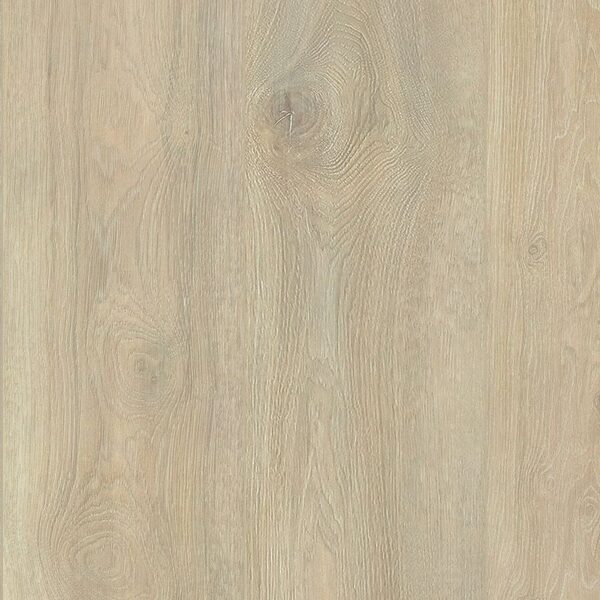 A close up of the wood grain on the floor