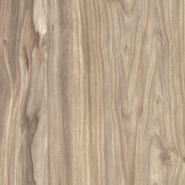 A close up of the wood grain on this floor