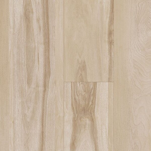A close up of the wood grain on the floor