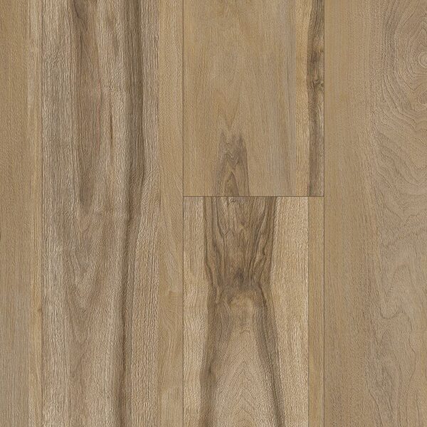 A close up of the wood grain on the floor