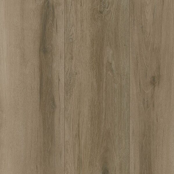 A close up of the wood grain on the floor