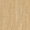 A close up of the wood grain on the floor