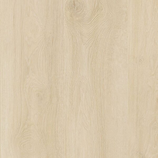 A close up of the wood grain on the floor