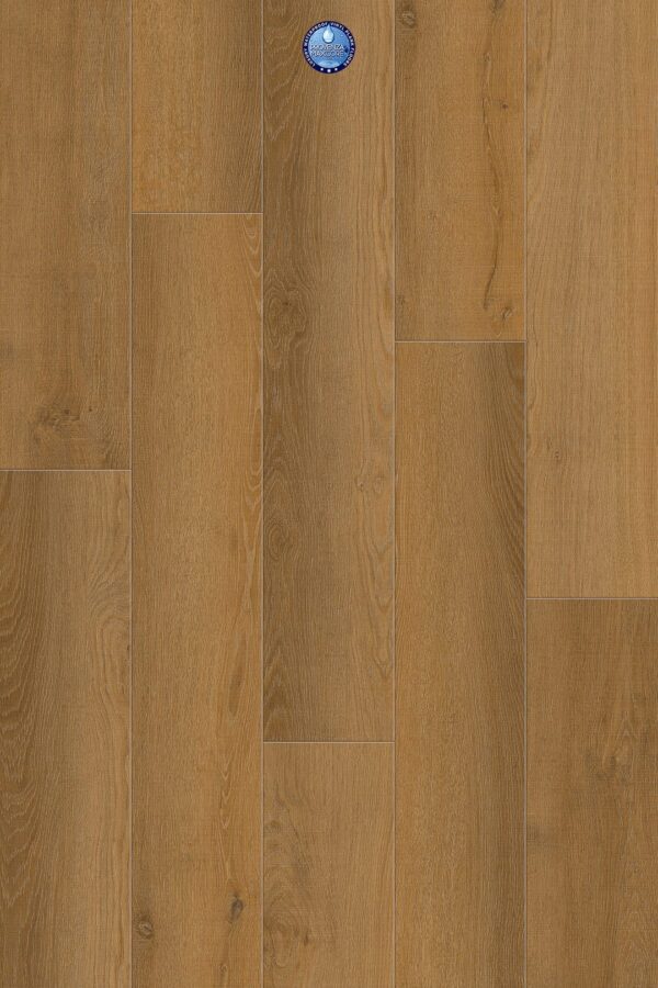 A close up of the wood grain on the floor