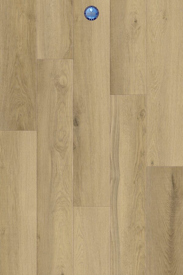 A close up of the floor of a room