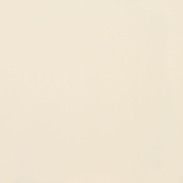 American Olean Clay Canvas Paint