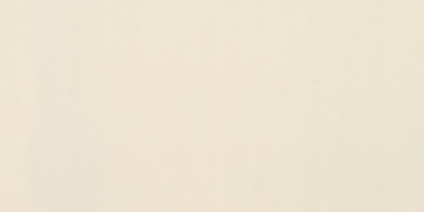 American Olean Clay Canvas Paint