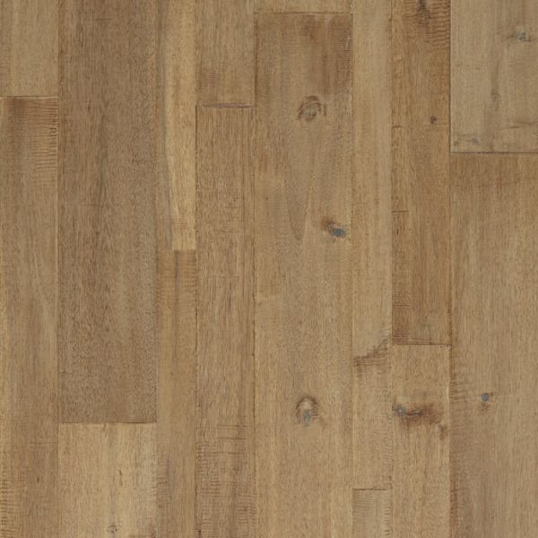 Mannington Bengal Bay Random Tiger's Eye