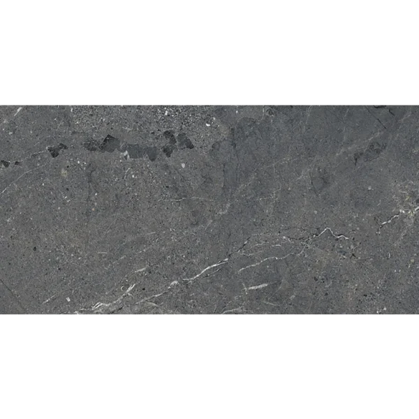 A gray stone surface with some white spots
