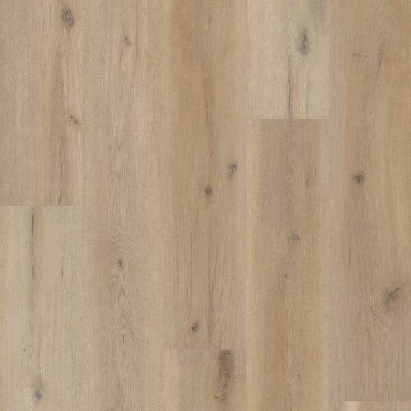 A close up of the wood grain on the floor