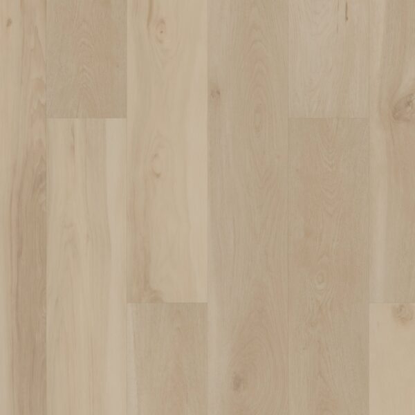 A close up of the floor in a room