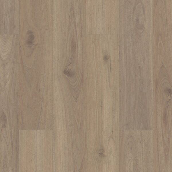 A close up of the floor in a room