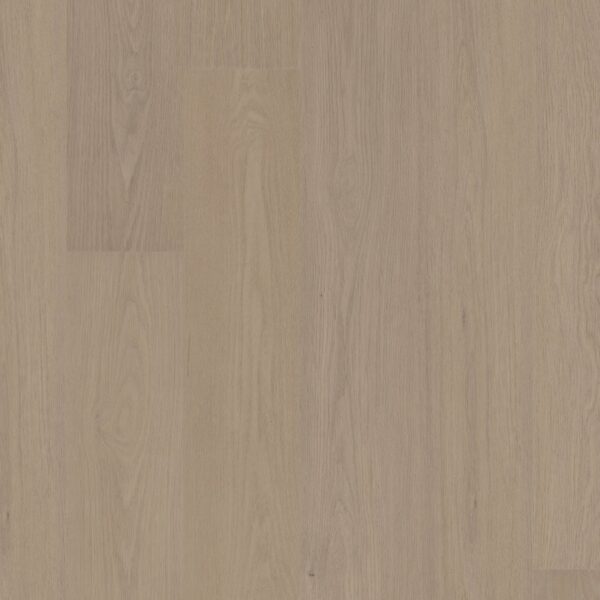 A close up of the floor in a room