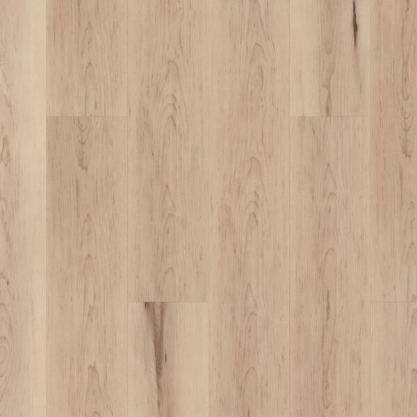 A close up of the wood grain on the floor