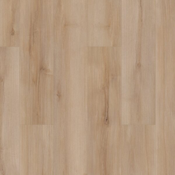 A close up of the wood grain on the floor