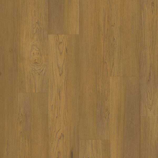 A close up of the floor in a room