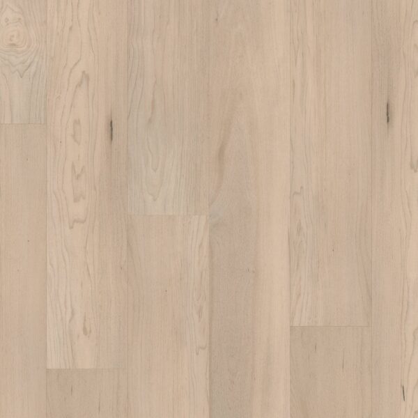 A close up of the wood grain on the floor