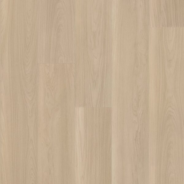 A close up of the wood grain on the floor