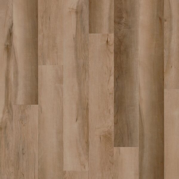 A close up of the floor in a room