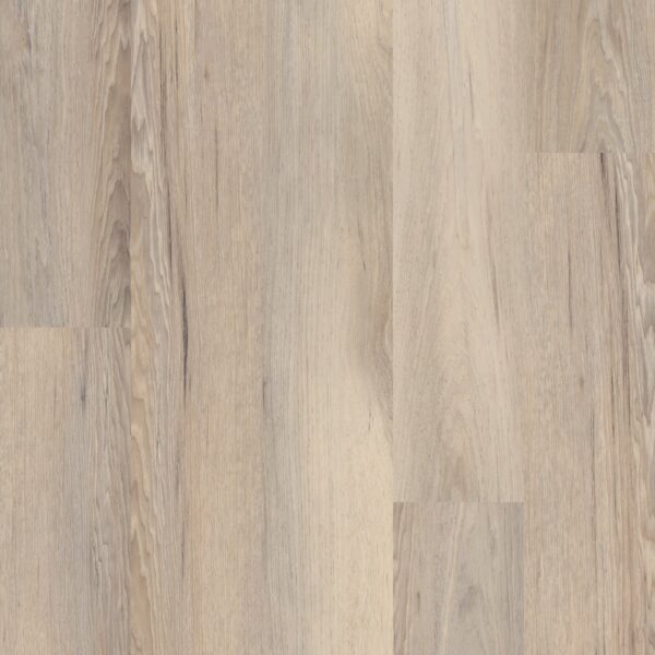 A close up of the wood grain on the floor