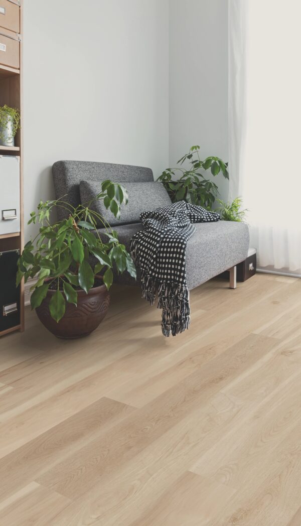 A couch and some plants in front of a window.