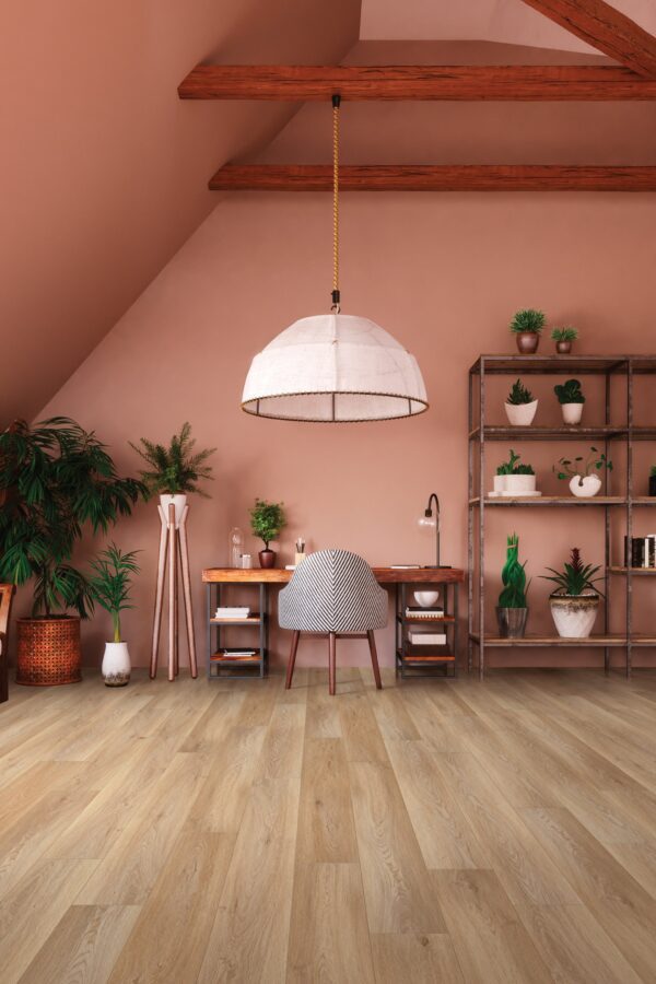 A room with a desk and chair, shelves and plants.