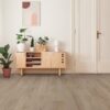 A room with a plant and some plants on the floor