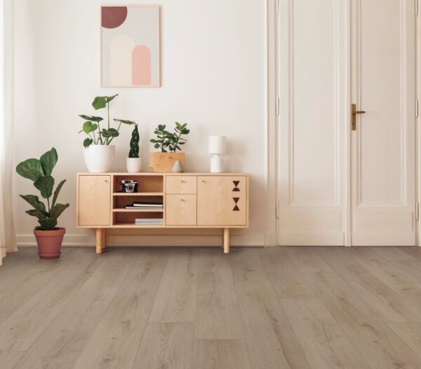A room with a plant and some plants on the floor