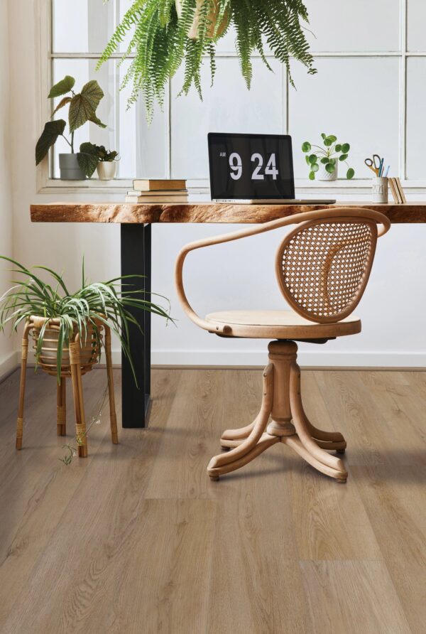 A desk with a laptop and a plant on it